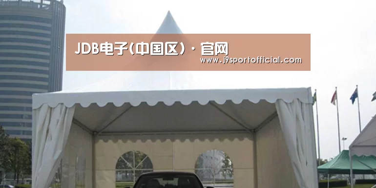 案例标题八