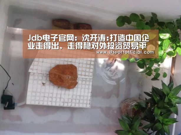 Jdb电子官网:沈开涛:打造中国企业走得出、走得稳对外投资贸易平台(图2) jdb电子网址大全
