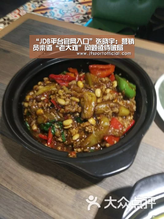 “JDB平台官网入口”张晓宇:营销员渠道“老大难”问题亟待破局(图1) jdb电子网站