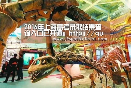 2016年上海高考录取结果查询入口已开通:http://query.shmeea.edu.cn/shmeeacx/exa:Jdb电子官网(图1) JDB平台官网入口