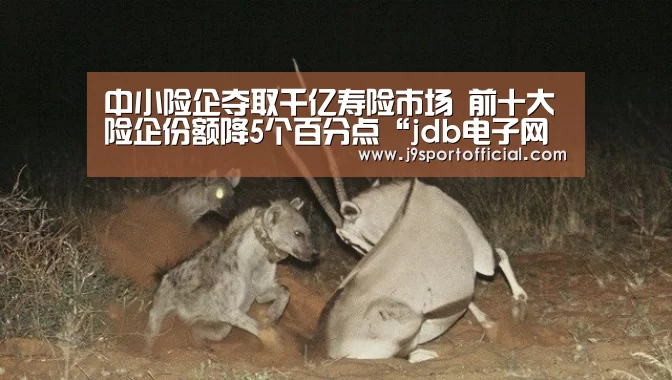中小险企夺取千亿寿险市场 前十大险企份额降5个百分点“jdb电子网站”(图1) jdb电子网址大全